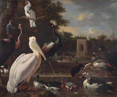 unknow artist A Pelican and other exotic birds in a park France oil painting art